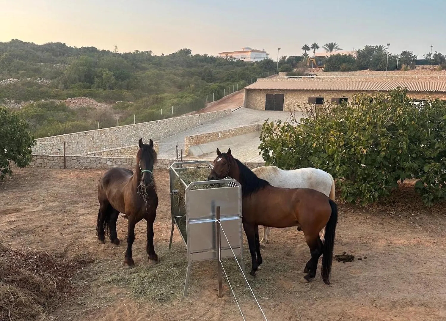 Campsite Camping Algarve Casa Lusitana Ferragudo